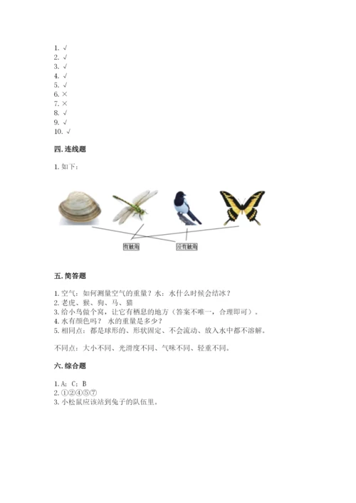 教科版一年级下册科学期末测试卷及参考答案（预热题）.docx