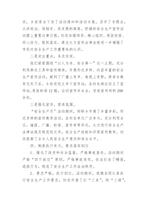 乡镇“安全生产月”活动总结.docx