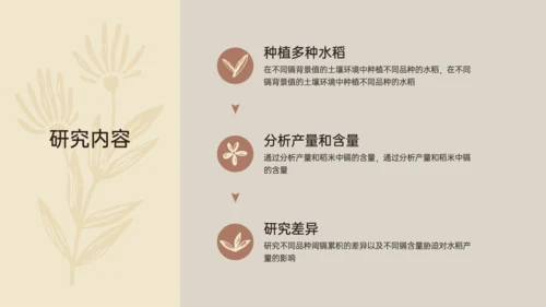 水稻农业植物品种研究和进展通用PPT模板