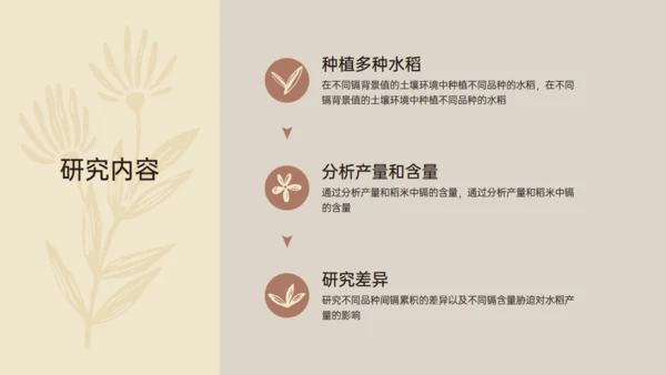 水稻农业植物品种研究和进展通用PPT模板