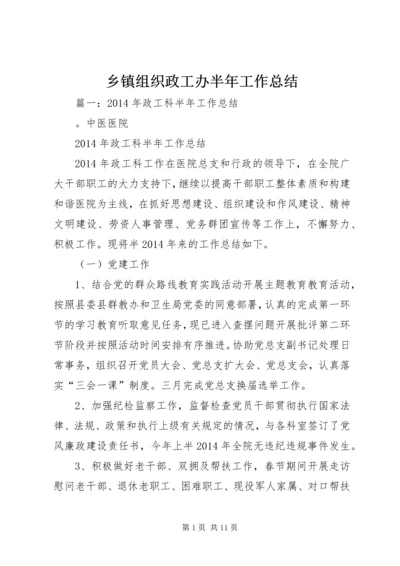 乡镇组织政工办半年工作总结.docx