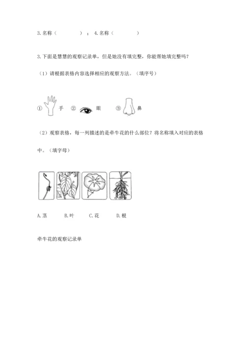 教科版一年级上册科学期末测试卷附答案（培优a卷）.docx