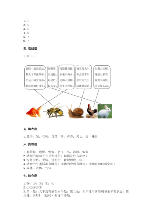 教科版小学科学一年级下册期末测试卷及完整答案【易错题】.docx