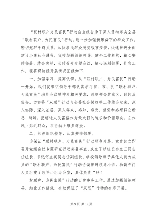 双联行动自查报告.docx