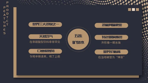 高端质感大气项目融资计划通用PPT模板
