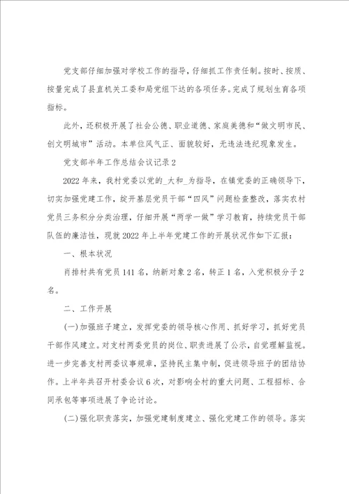 党支部半年工作总结会议记录7篇