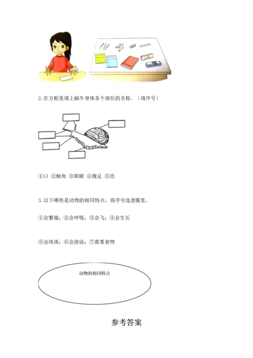 教科版一年级下册科学期末测试卷带答案（最新）.docx