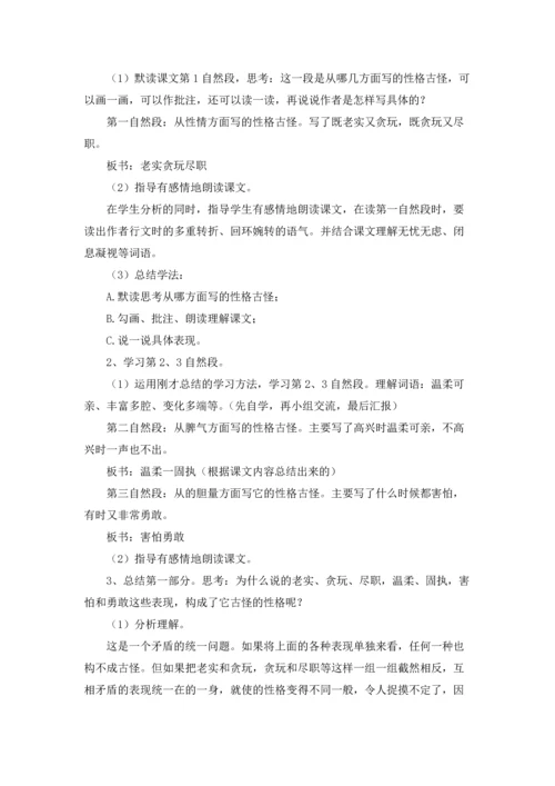 有关猫教案集合7篇.docx