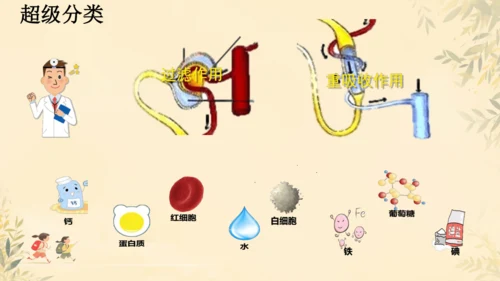 初中生物学人教版（新课程标准）七年级下册4.5 人体内废物的排出课件(共24张PPT)