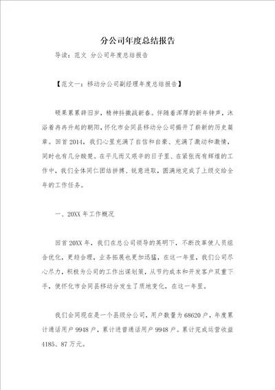 分公司年度总结报告