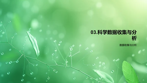 有机农业成果报告PPT模板