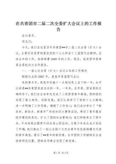 在共青团市二届二次全委扩大会议上的工作报告 (6).docx