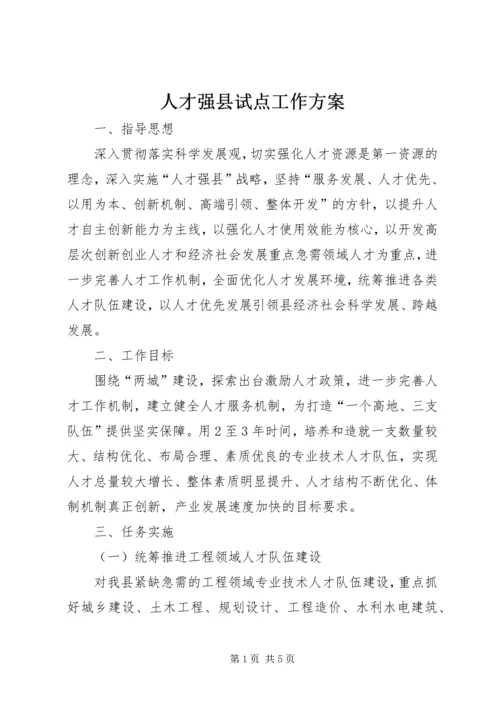 人才强县试点工作方案.docx