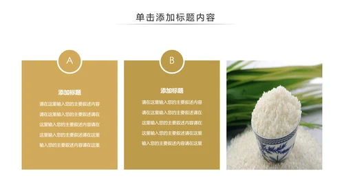 健康绿色有机大米农业粮食推广销售PPT模板