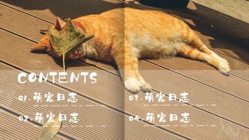 简约宠物萌宠画册电子相册通用PPT模板