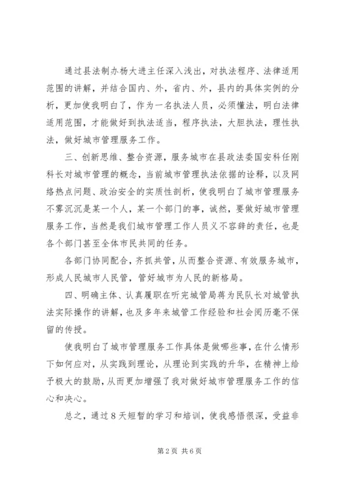 城管清政廉洁心得体会.docx