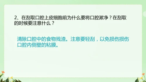 人教版（2024）七年级上册1.2.3 动物细胞 课件(共26张PPT)
