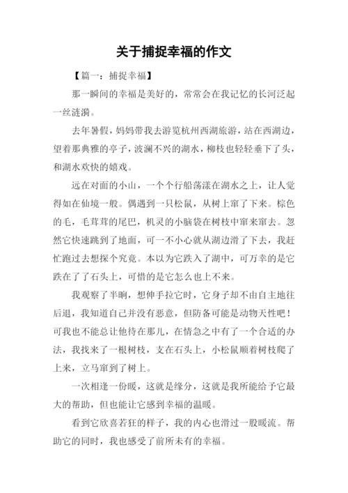 关于捕捉幸福的作文.docx