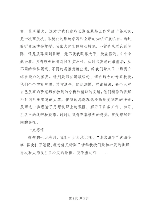 清华大学外训心得.docx