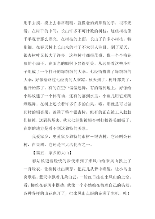 家乡的一处景物作文350字.docx