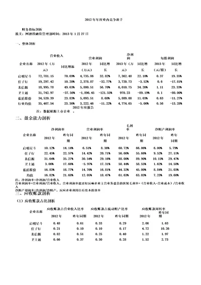 信息安全行业财务解析总结计划