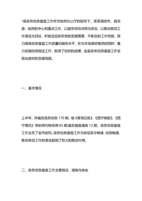 政务督查工作总结.docx