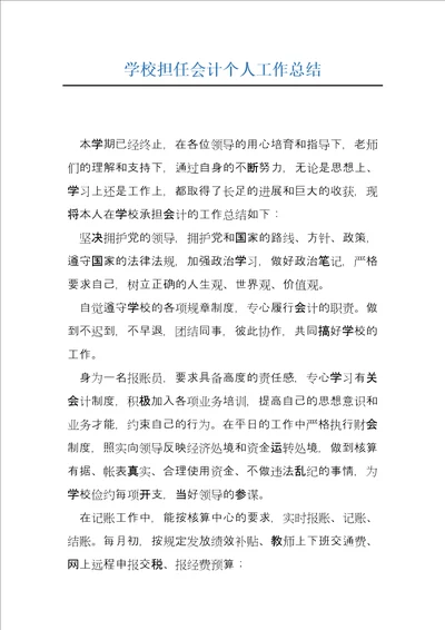 学校担任会计个人工作总结