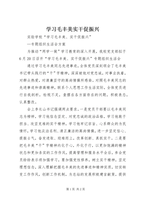 学习毛丰美实干促振兴 (3).docx