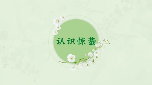 惊蛰淡绿色二十四节气实践教学课件通用PPT模板