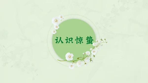 惊蛰淡绿色二十四节气实践教学课件通用PPT模板