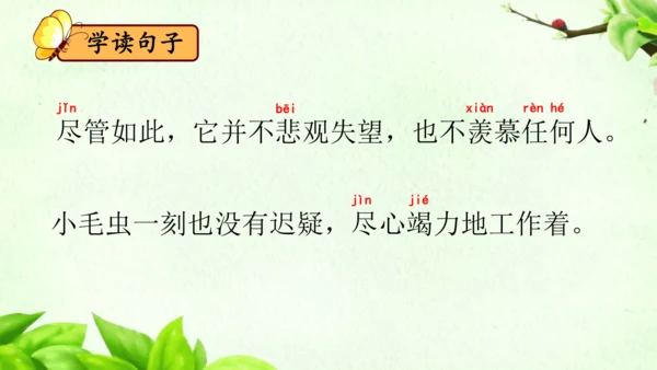 22《小毛虫》课件