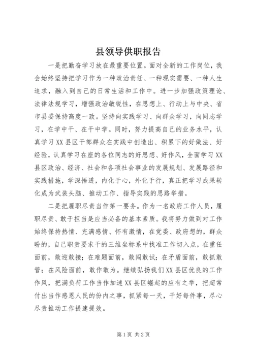 县领导供职报告.docx