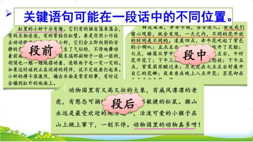 统编版语文三年级下册第四单元 《语文园地四》课件
