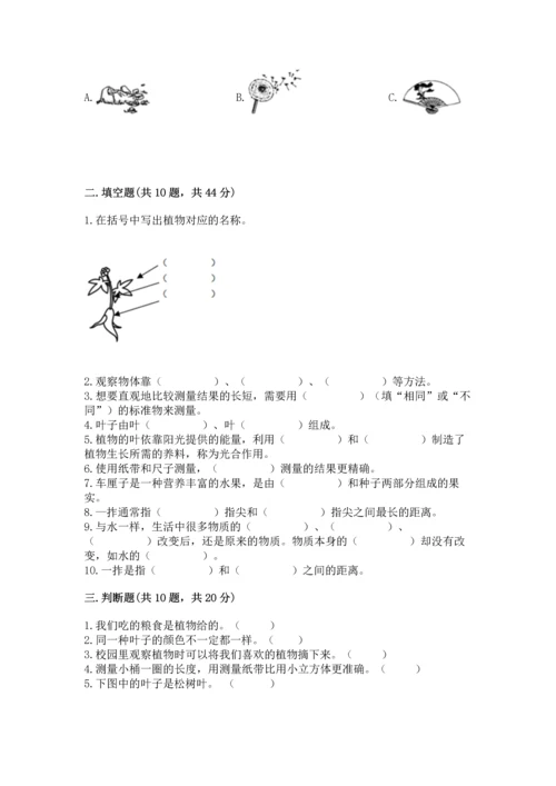 教科版一年级上册科学期末测试卷精品【综合题】.docx