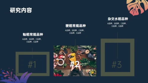 植物与污染研究漂亮的叶子通用PPT模板