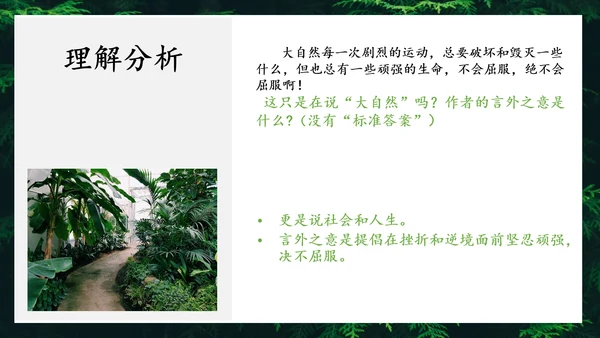 地下森林作家张抗抗作品解读PPT课件