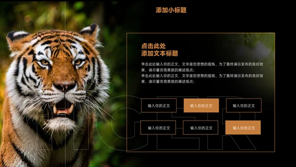 Tiger老虎通用PPT演示模板