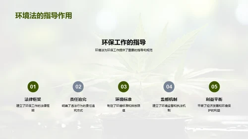 探索环境法之路