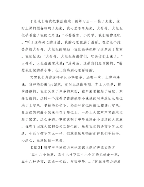 铸牢中华民族共同体意识主题优秀征文例文集合3篇.docx