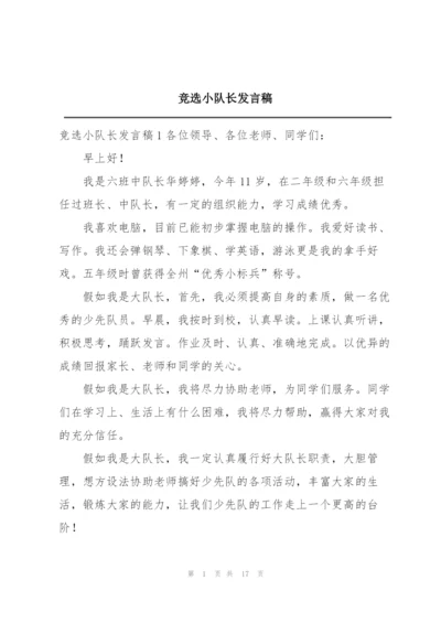 竞选小队长发言稿.docx