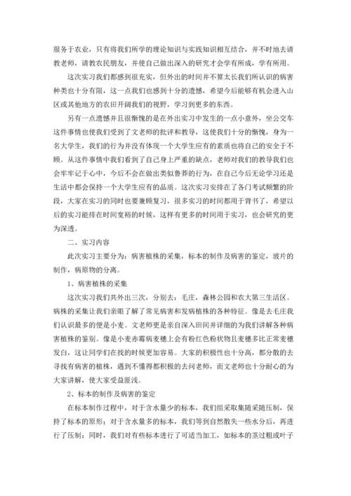 植物学实习报告模板合集6篇.docx