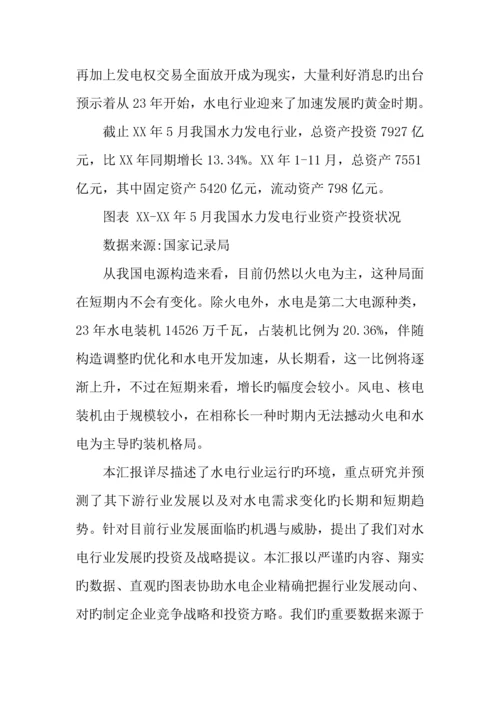 水力发电行业投资项目可行性报告.docx