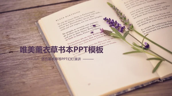 唯美薰衣草书香ppt动态模板
