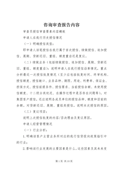 咨询审查报告内容 (3).docx