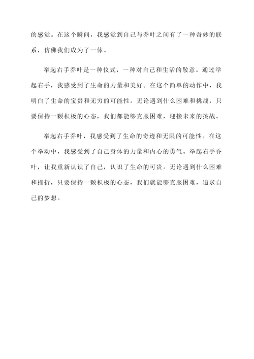 举起你的右手乔叶阅读感想