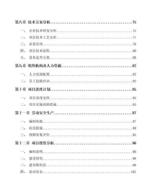 甘肃智能水表项目申请报告范文