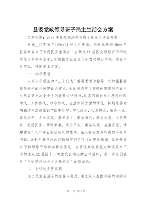 县委党政领导班子民主生活会方案.docx