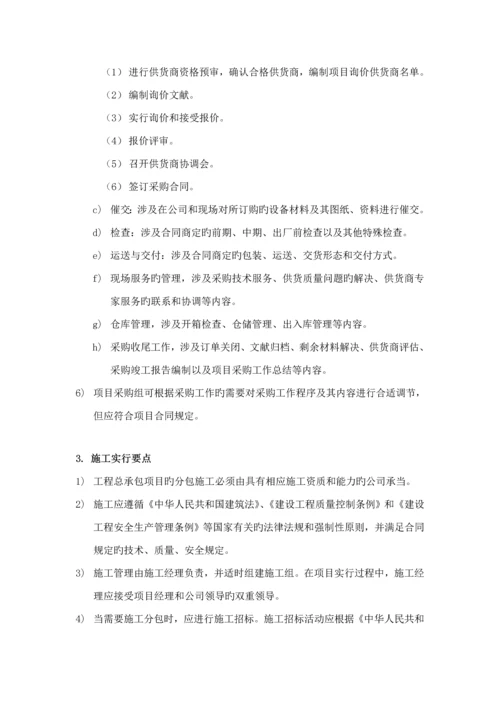 专项项目实施及管理核心要点.docx