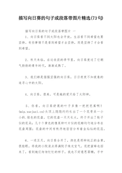 描写向日葵的句子或段落带图片精选(73句).docx