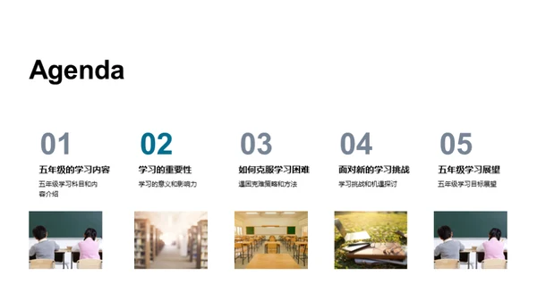 五年级学习之路